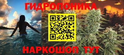 a pvp Тулун