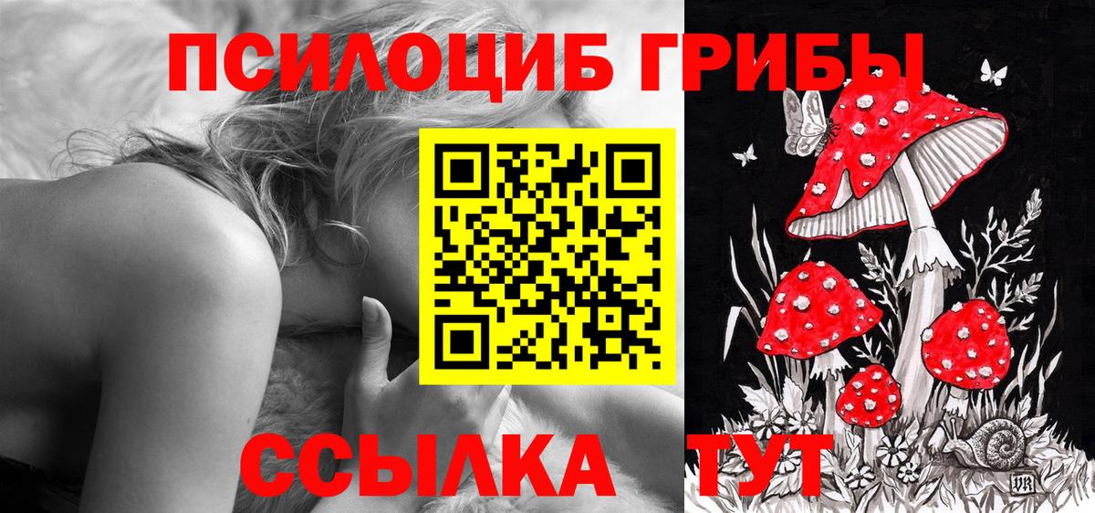 Галлюциногенные грибы прущие грибы Нижний Тагил