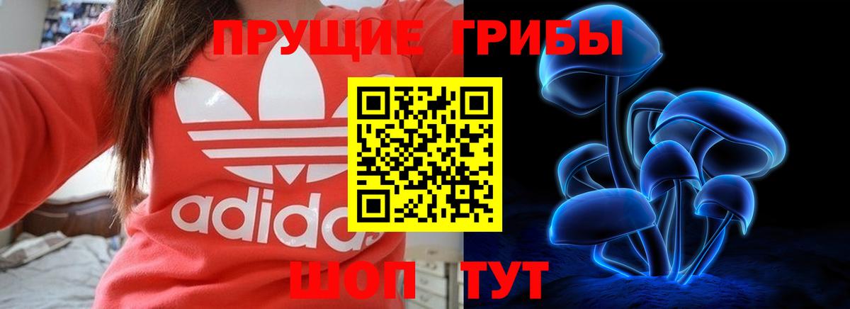 Нижний Тагил  Галлюциногенные грибы мицелий  Вход с VPN  Галлюциногенные грибы мухоморы 